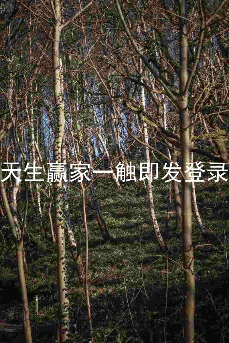 凯发天生赢家一触即发登录入口
